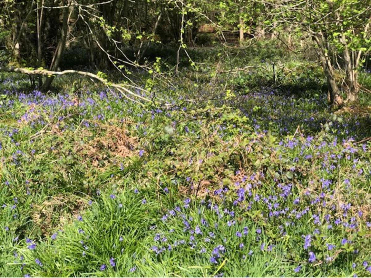 Captivating In Copthorne Near Gatwick Apartment *